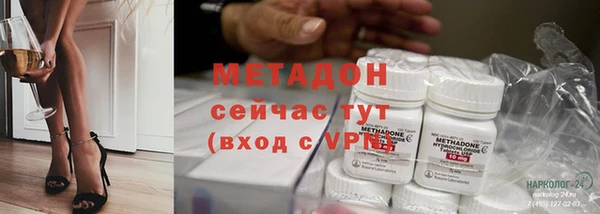 прущие грибы Балахна