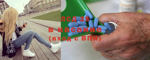 прущие грибы Балахна