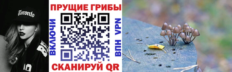 Галлюциногенные грибы мухоморы  Гаджиево 